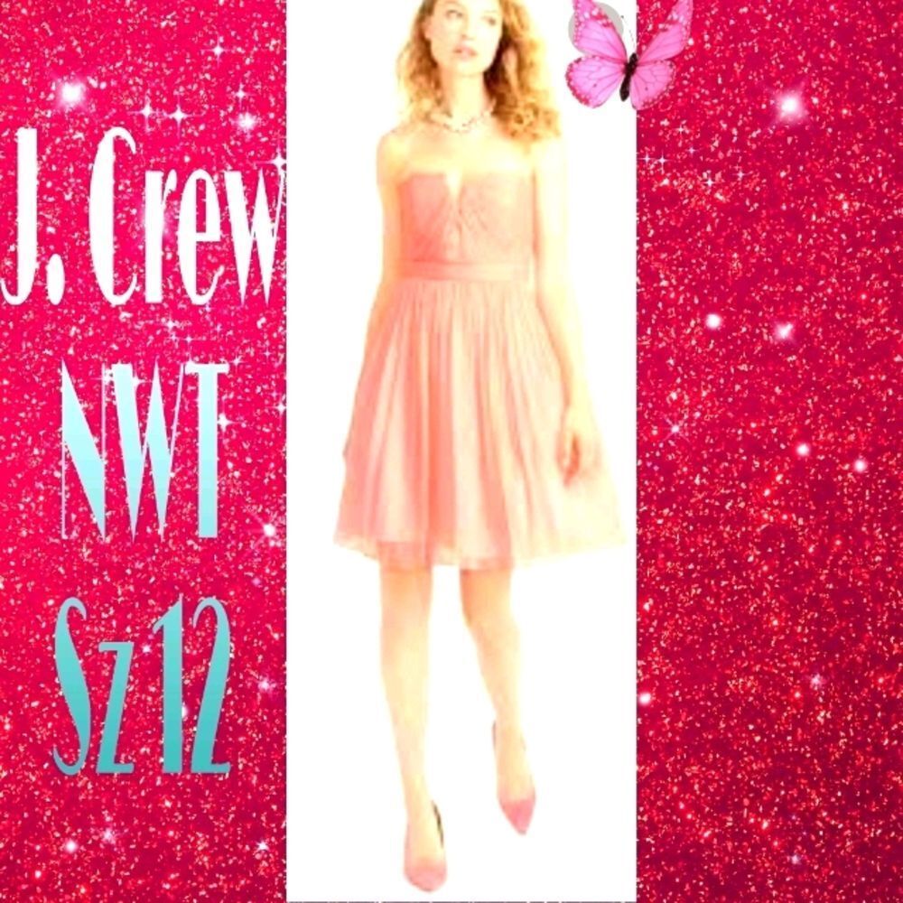 NWT J. Crew 100% Silk Pink Cocktail Mini 👗 Sz 12